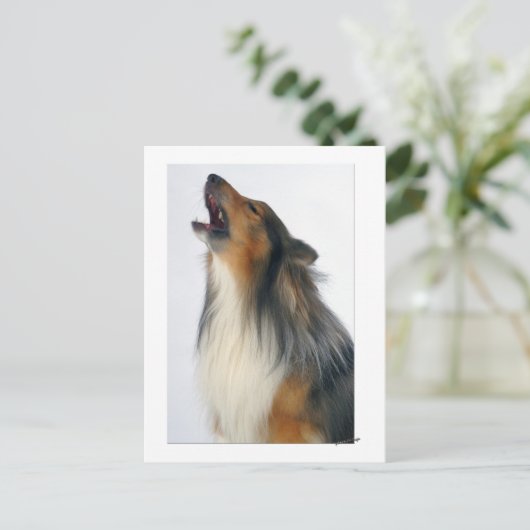 Heulenhund Postkarte (Stehend Vorderseite)