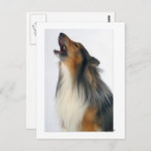 Heulenhund Postkarte (Vorne/Hinten)