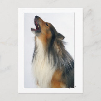 Heulenhund Postkarte