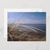 Heuschnupfen Postkarte (Vorne/Hinten)