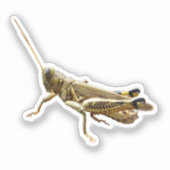 Heuschrecke Aufkleber (Vorderseite)