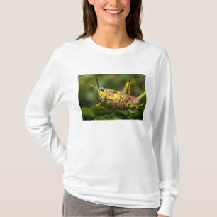Heuschrecke, Everglades National Park, Florida, T-Shirt