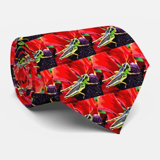 Heuschrecke Krawatte (Gerollt)