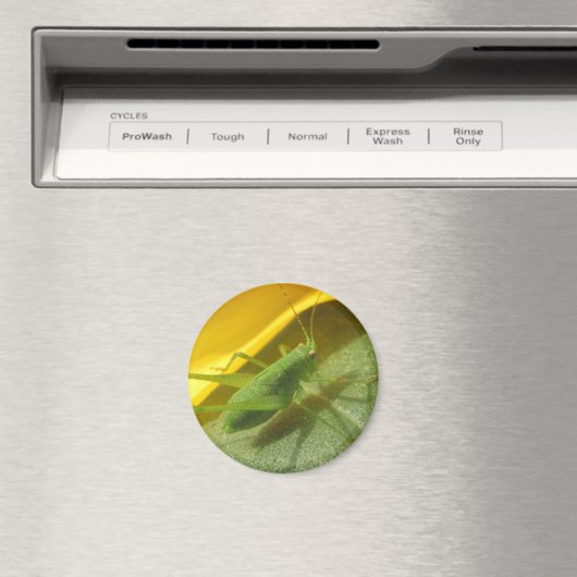 Heuschrecke Magnet (In Situ (Geschirrspüler))