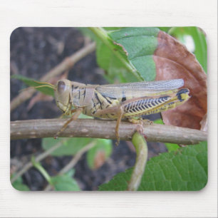 Heuschrecke Mousepad