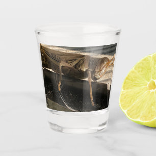 Heuschrecke Schnapsglas