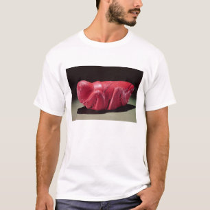 Heuschrecke von Chapultepec, Mexiko, c.1500 (Carn T-Shirt