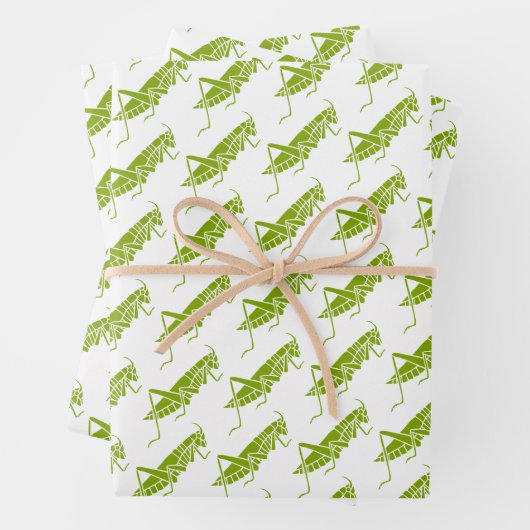 Heuschrecken Geschenkpapier Set (Beispiel)