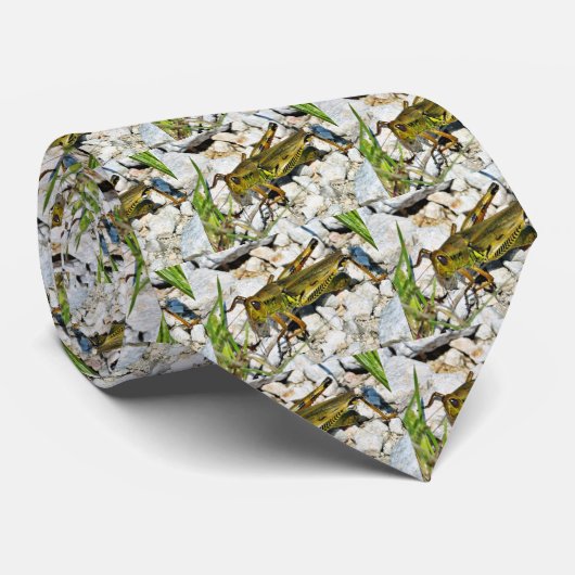 Heuschrecken-Insekt Krawatte (Gerollt)