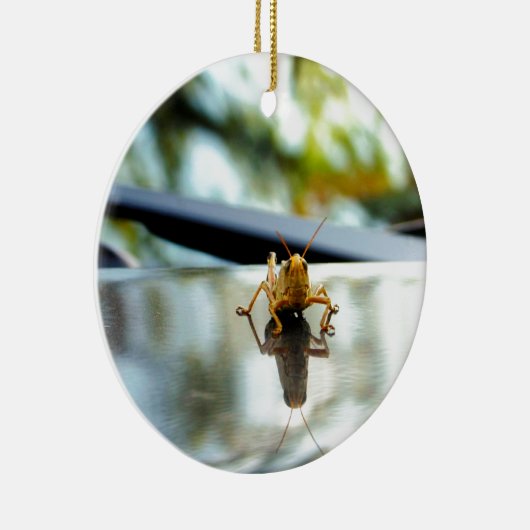 Heuschreckendistanzhülse Keramik Ornament (Rechts)