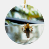 Heuschreckendistanzhülse Keramik Ornament (Vorne)