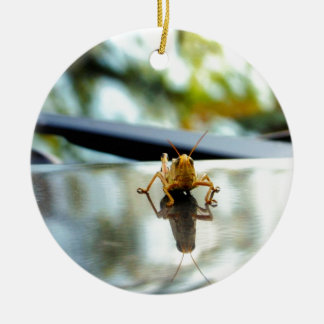 Heuschreckendistanzhülse Keramik Ornament