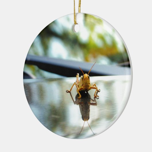Heuschreckendistanzhülse Keramik Ornament (Links)