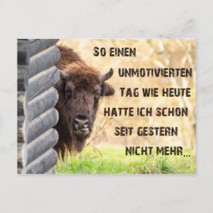 Heute bin ich tierisch unmotiviert! postkarte