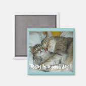 Heute ist ein guter Tag! Cats Magnet (Vorderseite/Rückseite)