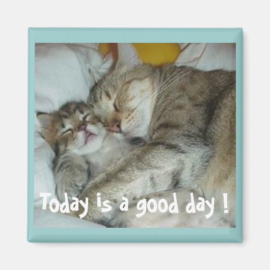 Heute ist ein guter Tag! Cats Magnet (Vorne)