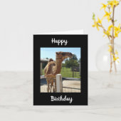 HEUTE KEIN GEWINNEN AUS DIESEM KAMEL SINGT ER! KARTE (Gelbe Blume)