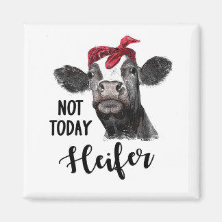 heute nicht heifer magnet