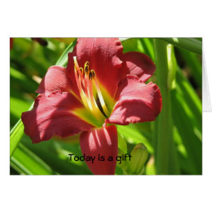 Heutiger Tag ist ein Geschenk