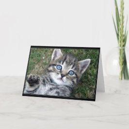 "Hewwo" Miezekatze Karte
