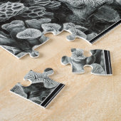 Hexacoralla 69 - Ernst Haeckel 8x10 Puzzle (Seite)
