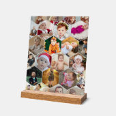 Hexagon Foto Collage Acrylschild (Winkel)