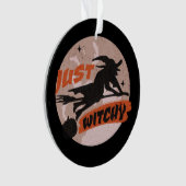 Hexe Broomstick Halloween Pumpkin Ornament (Vorderseite)