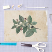 Hexe Ephemera Design Serie #11 Seidenpapier (Handwerk)