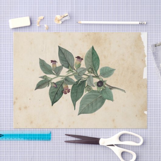 Hexe Ephemera Design Serie #11 Seidenpapier (Handwerk)