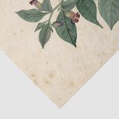 Hexe Ephemera Design Serie #11 Seidenpapier (Ausschnitt)