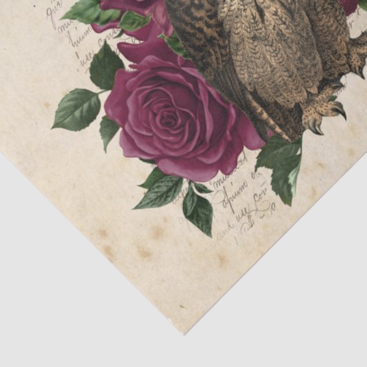 Hexe Ephemera Design Serie #3 Seidenpapier (Ausschnitt)