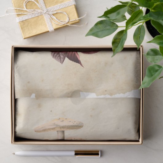 Hexe Ephemera Design Serie #5 Seidenpapier (Geschenk)