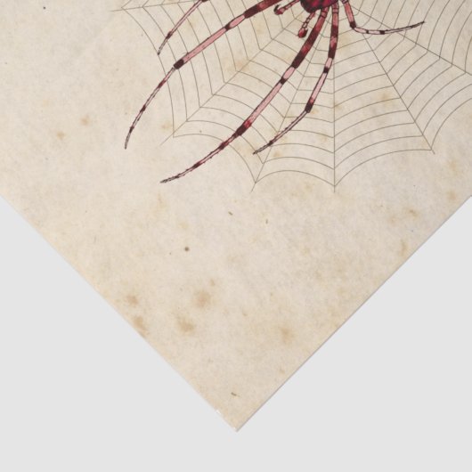 Hexe Ephemera Design Serie #7 Seidenpapier (Ausschnitt)