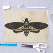 Hexe Ephemera Design Serie #8 Seidenpapier (Handwerk)