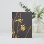 Hexe Hazel Blossom Postcard Postkarte (Stehend Vorderseite)