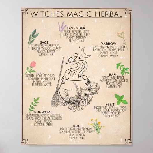 Hexe Herbal Magic Art Sign Poster (Vorne)