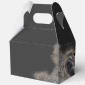 Hexe mit Burning Cauldron Halloween Geschenkschachtel (Rückseite)