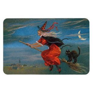 Hexe mit schwarzer Katze zu Halloween Magnet