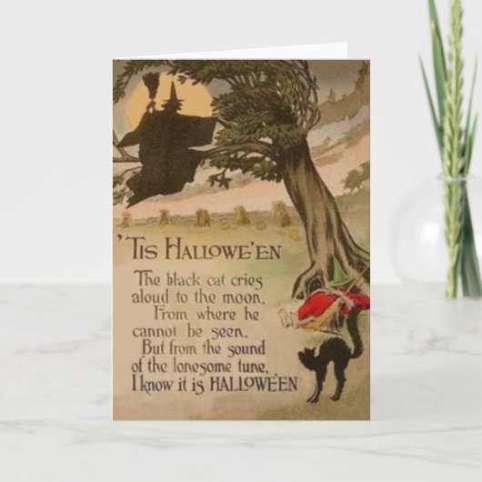 Hexe Vollmond Pumpkin Black Cat Karte (Vorderseite)