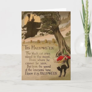 Hexe Vollmond Pumpkin Black Cat Karte