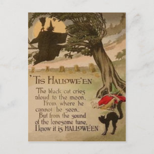 Hexe Vollmond Pumpkin Black Cat Postkarte