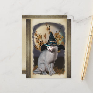 Hexen Cat Postcard Postkarte