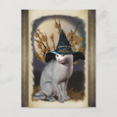 Hexen Cat Postcard Postkarte (Vorderseite)