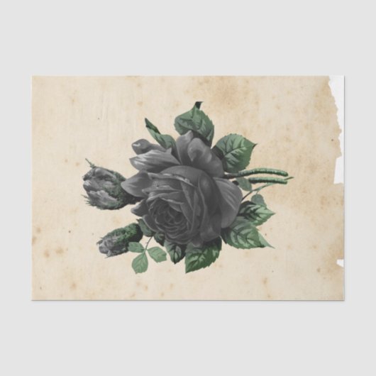 Hexen-Ephemera-Designserie #9 Seidenpapier (Vorderseite)