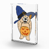 Hexen-Kürbis-Hund Fotoblock (Rechts)