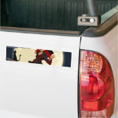 Hexenbesen Autoaufkleber (Auf Lkw)