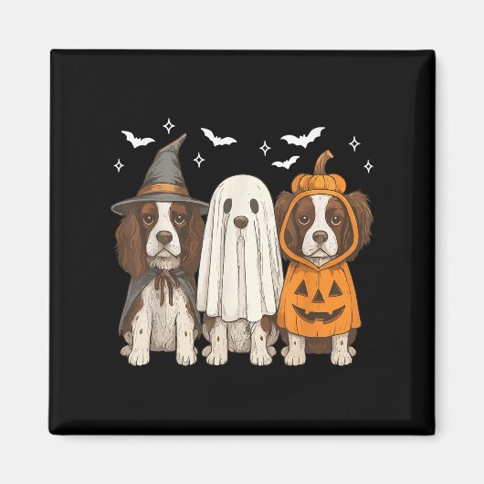 Hexendeutscher Springer Spaniel Halloween Springer Magnet (Vorne)