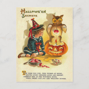 Hexeneule Jack O Lantern Kürbis Postkarte