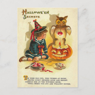 Hexeneule Jack O Lantern Kürbis Postkarte