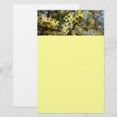 Hexenhazel-Blume Briefpapier (Vorne/Hinten)